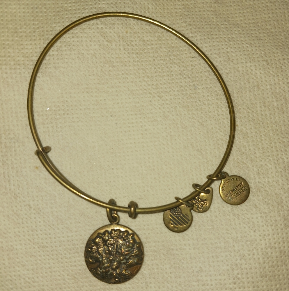 2017 Disney X Alex & Ani Bracelet, Needs TLC Tarnished
